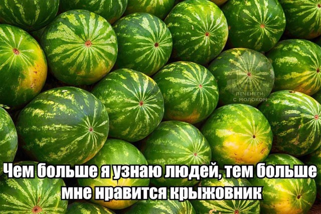 Никакие картинки и тексты