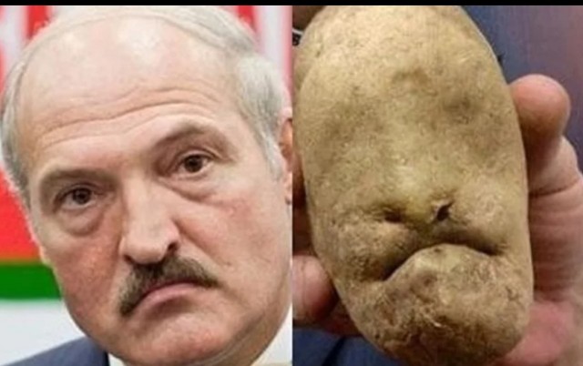 Сотни немцев, на полях, за картохой по 0,3eur за кг