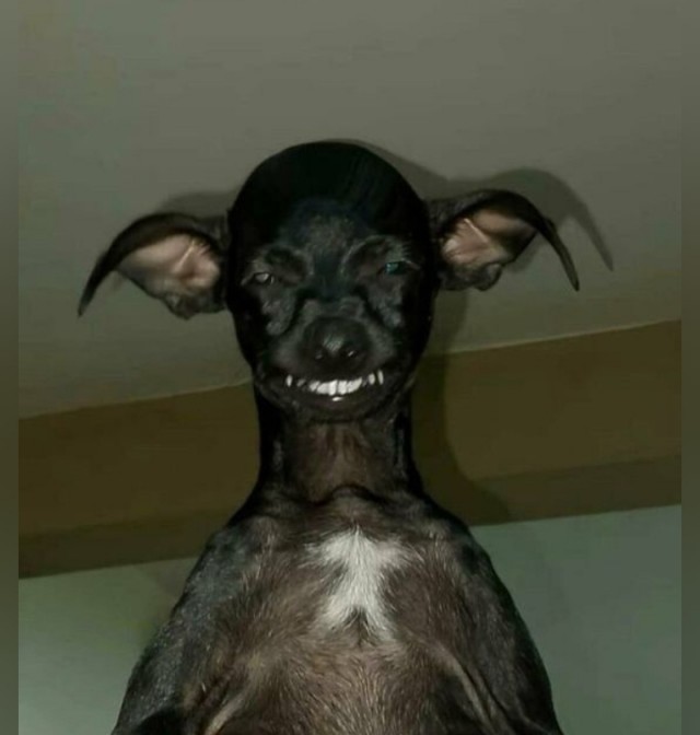 ФотоВинегрет