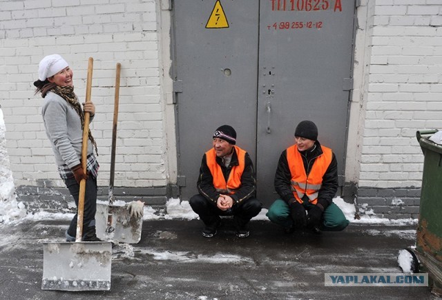 Киргизия поясняет России какую она должна вести миграционную политику .