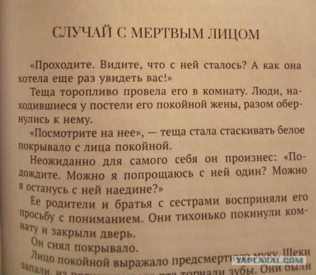 Очумелые Пёрышки