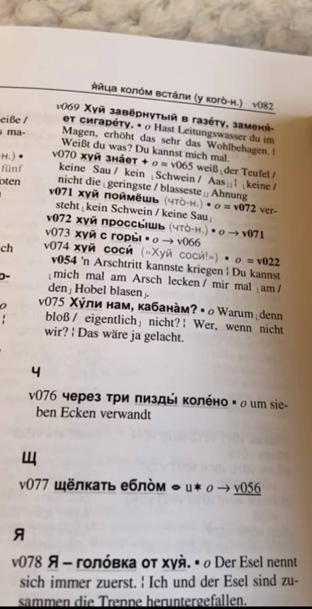 Девушка нашла русско-немецкий словарь