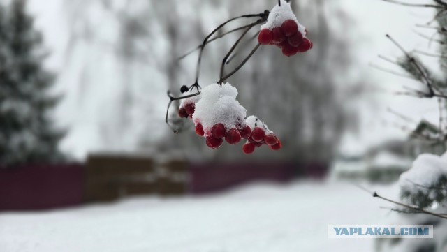 Покажите вашу зиму