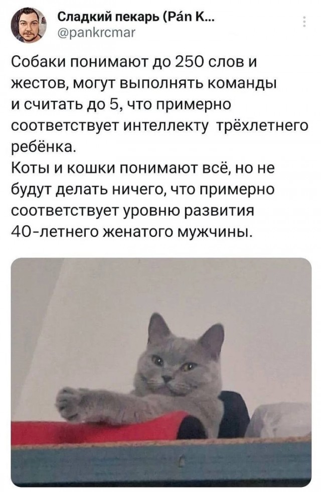 Так себе картинки 25.12.24