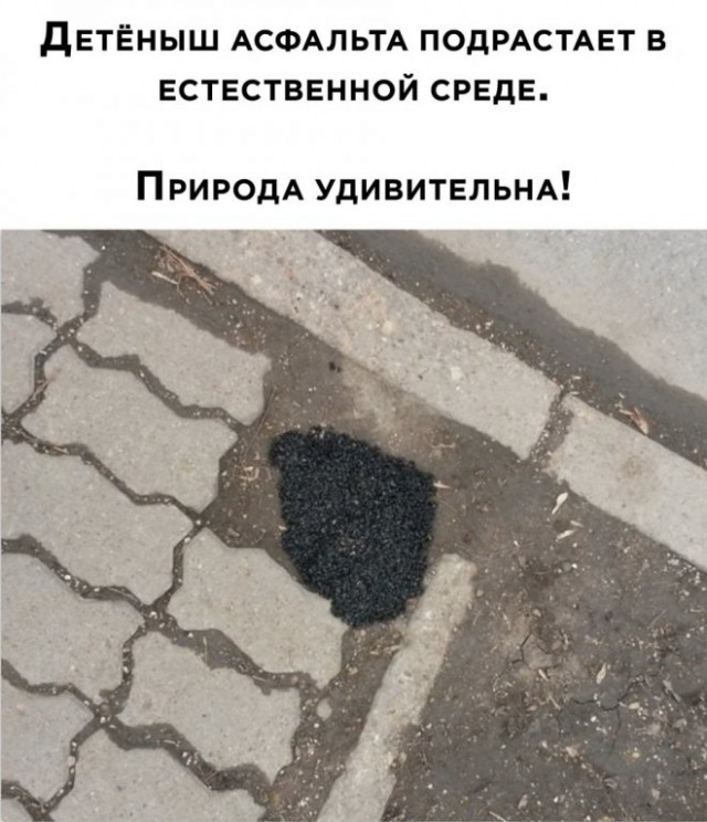 Картинки разные с надписями и без