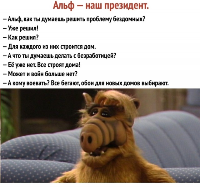 Так себе картинки 25.02.25
