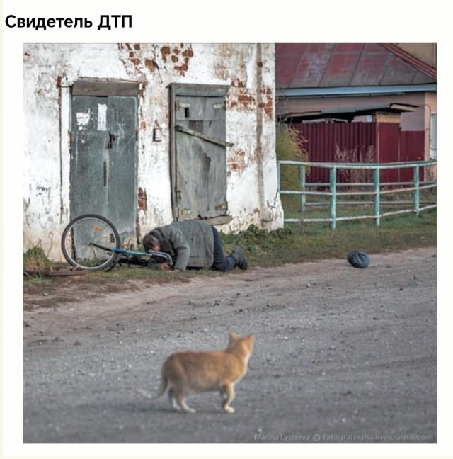 Завалялось тут случайно немного забавных картинок