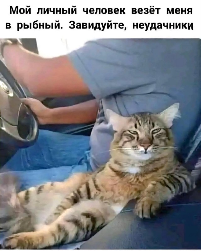 Завалялось тут случайно немного забавных картинок