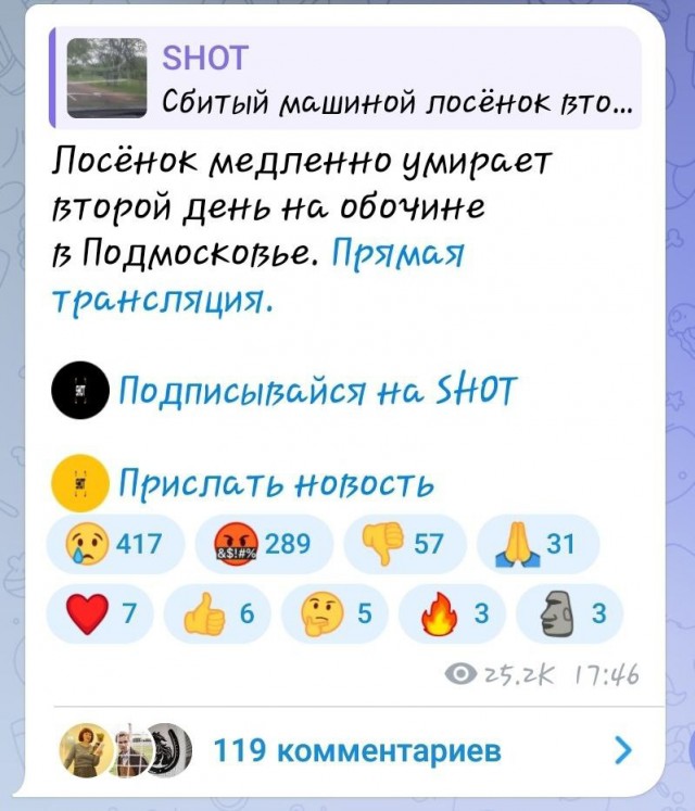 Разрешилась судьба ранее сбитого лосёнка в Подмосковье