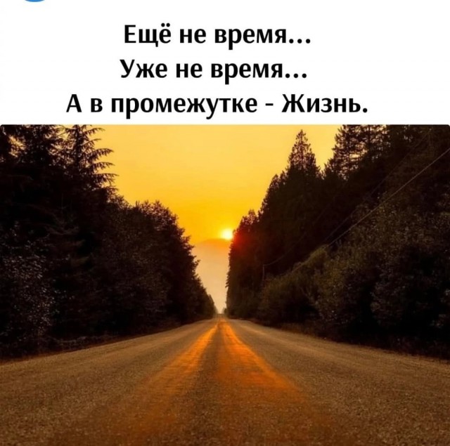 Так себе картинки 20.05.25