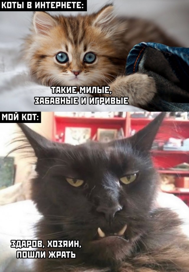 Пятничные 100м2 дичи