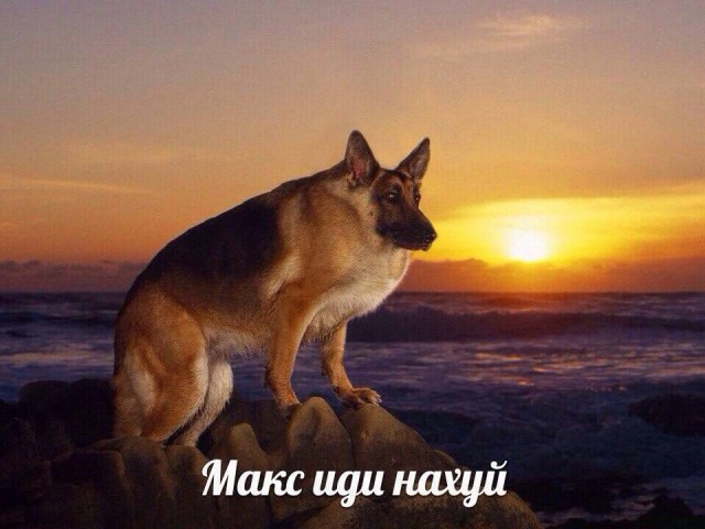 Информационный аналитик посоветовал россиянам завести для Max второй телефон