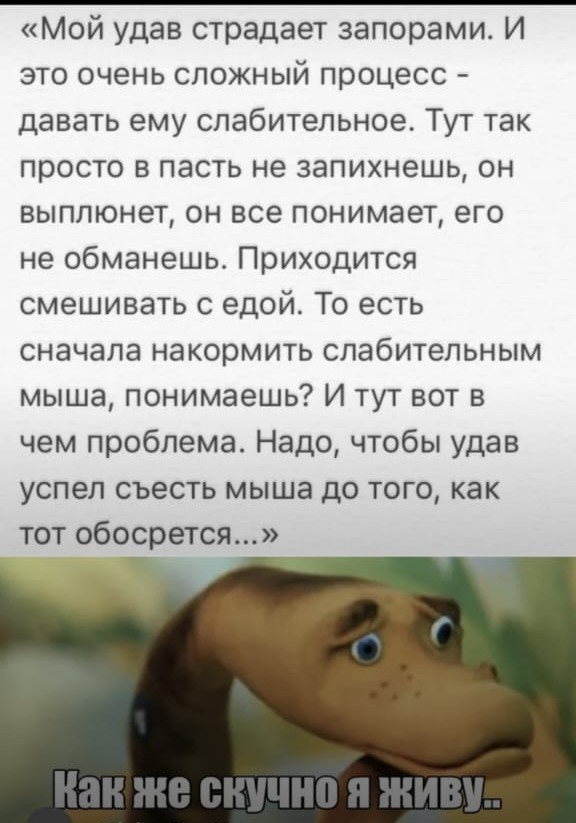 Пост одной картинки