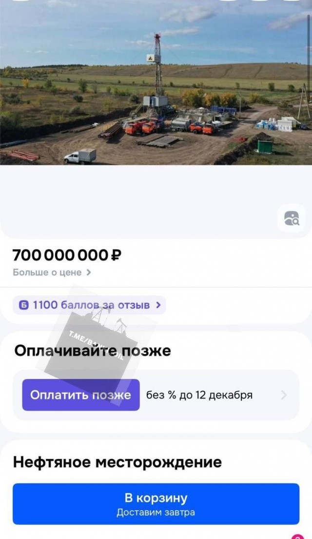 Купить себе нефтяное месторождение можно прямо на Ozon за 700 млн рублей