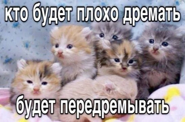 Прикольные и просто красивые картинки 02.12.2025
