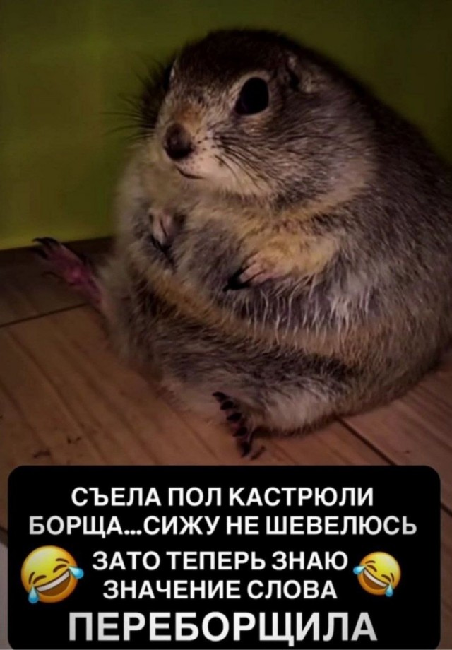 Субботние картинки