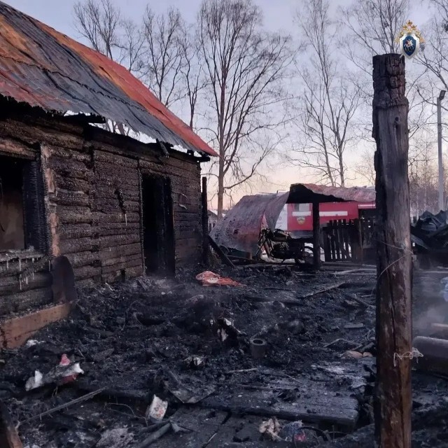 Четверо детей и их мать погибли при пожаре в доме в Хабаровском крае