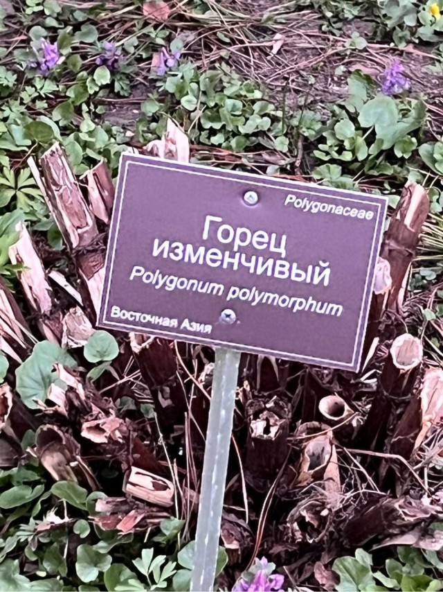 Кто ты сегодня?