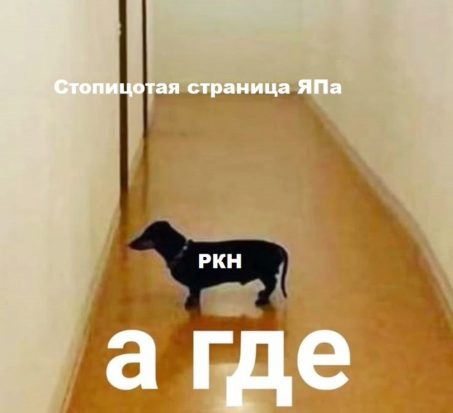 Роскомнадзор объяснил отсутствие сайта "ЯПлакалъ" в реестре запрещенных