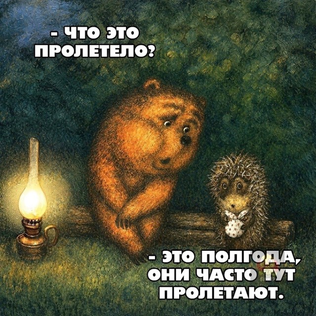 Так себе картинки 21.06.26