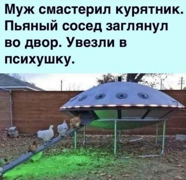 Прикольные и просто красивые картинки 14.08.2026
