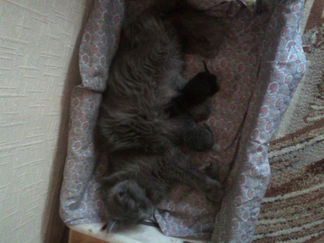 Как надо вести ЖЖ