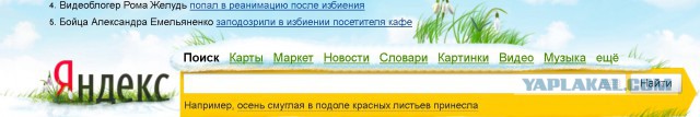 Александр Емельяненко избил мужчину