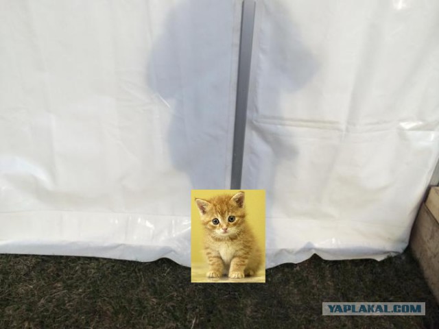 Один день фотографа Олимпийских игр