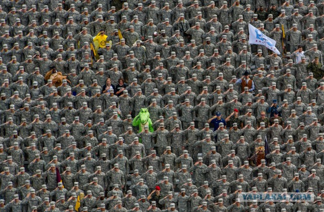 28 самых удачных кадров февраля