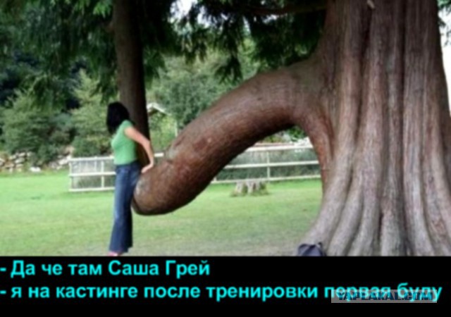 Пошлые демотиваторы 18+, веселые картинки