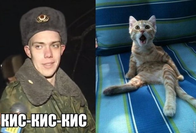 Нашли солдата, который 13 лет назад спас кота