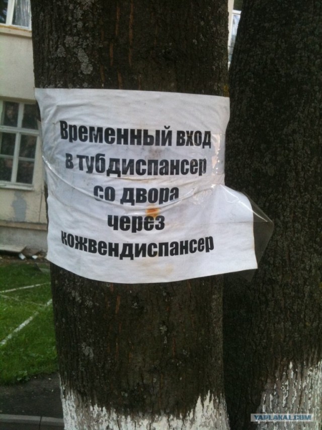 Фотоприколы