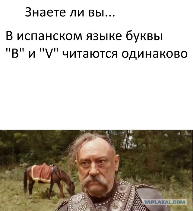 Забавные картинки из Сети