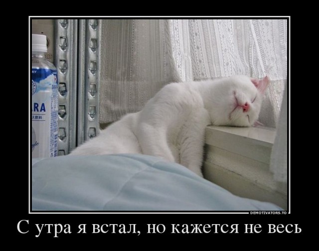 Вы хотите "демов"? часть 2-я