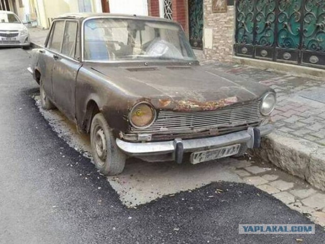 Прикольные картинки для вас!