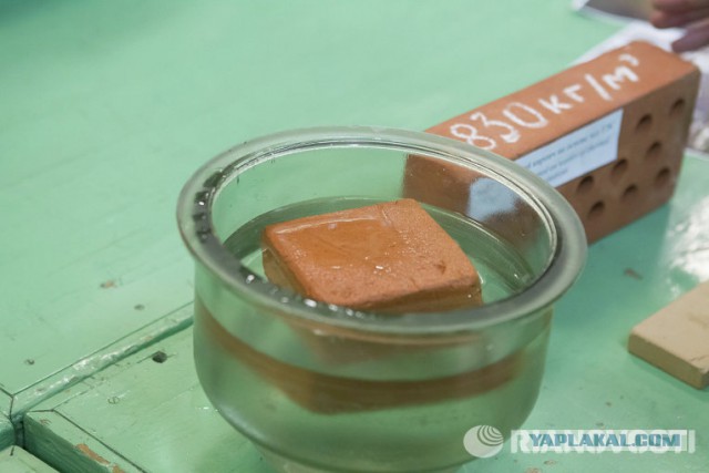 Акула решила подзакусить лодкой