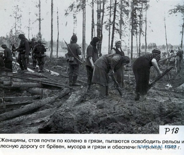 Фото с мест Волховской битвы (Вермахт)