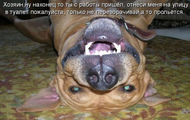 Подборка картинок 24.02.16