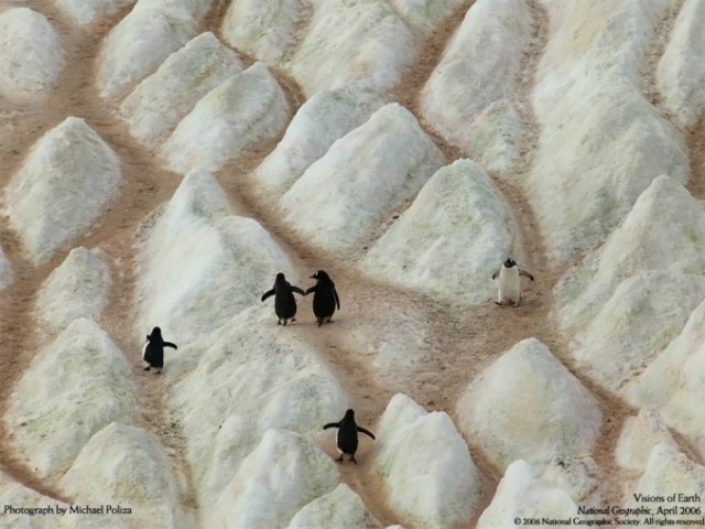 Лучшие фотографии National Geographic