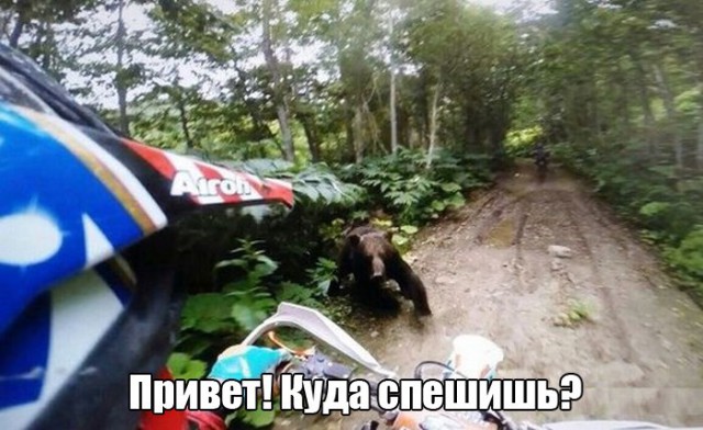 Подборка интересных и смешных картинок