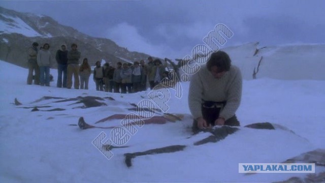 Что на самом деле едят актеры