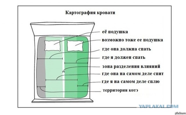 Как выспаться в одной кровати с любимой женщиной?