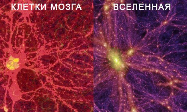 Вера и религия. В чем разница?