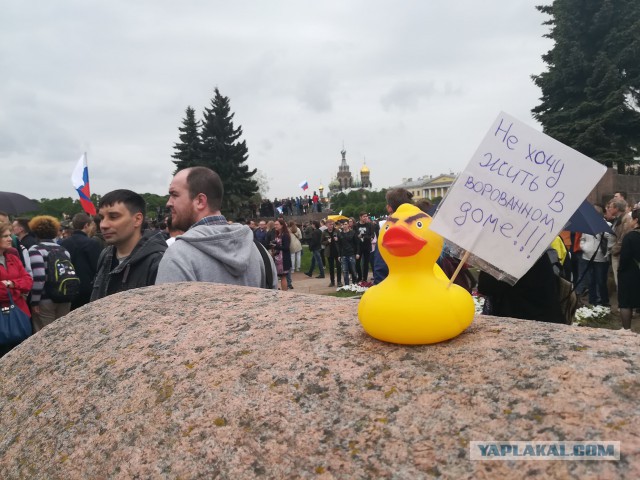 Марсово поле 12 июня Санкт-Петербург