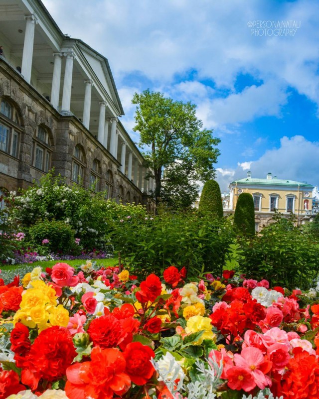Всякие разные картинки
