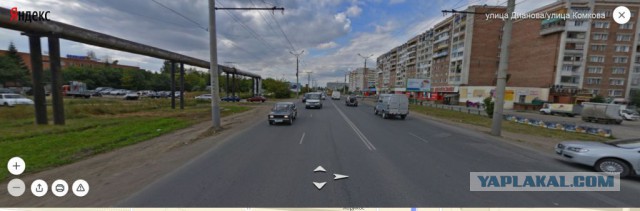 Сказочные.... товарищи