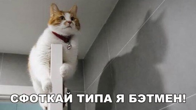 100 картинок для поднятия настроения!