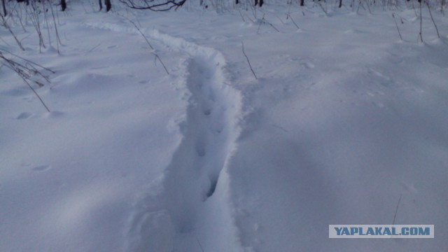 УАЗ Патриот...  Что с тобой стало за каких-то три года!