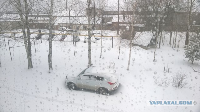 На дорогах Кирова случился снежный апокалипсис