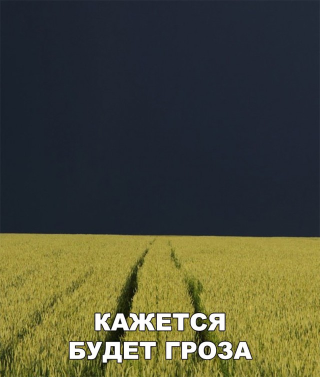 Нестандартный юмор